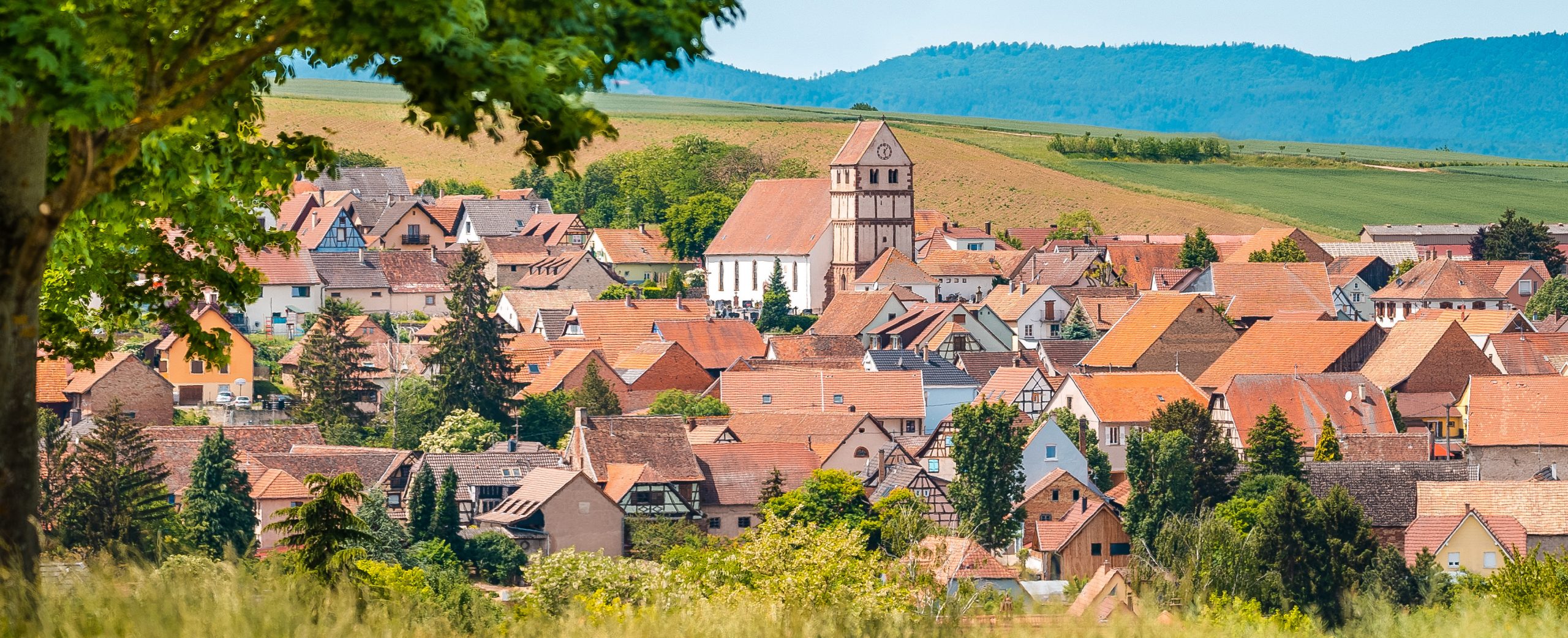 MEUBLÉS DE TOURISME